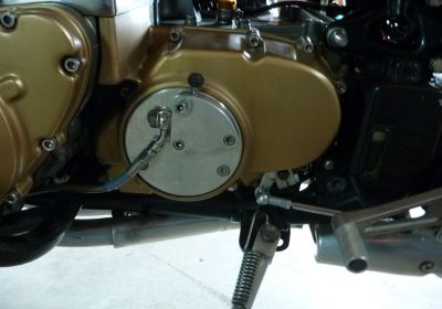 TackelHappy's Gallery